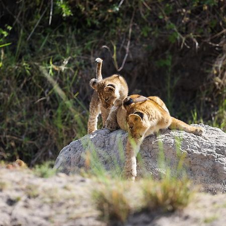 Mara Elatia Camp Villa Maasai Mara Dış mekan fotoğraf