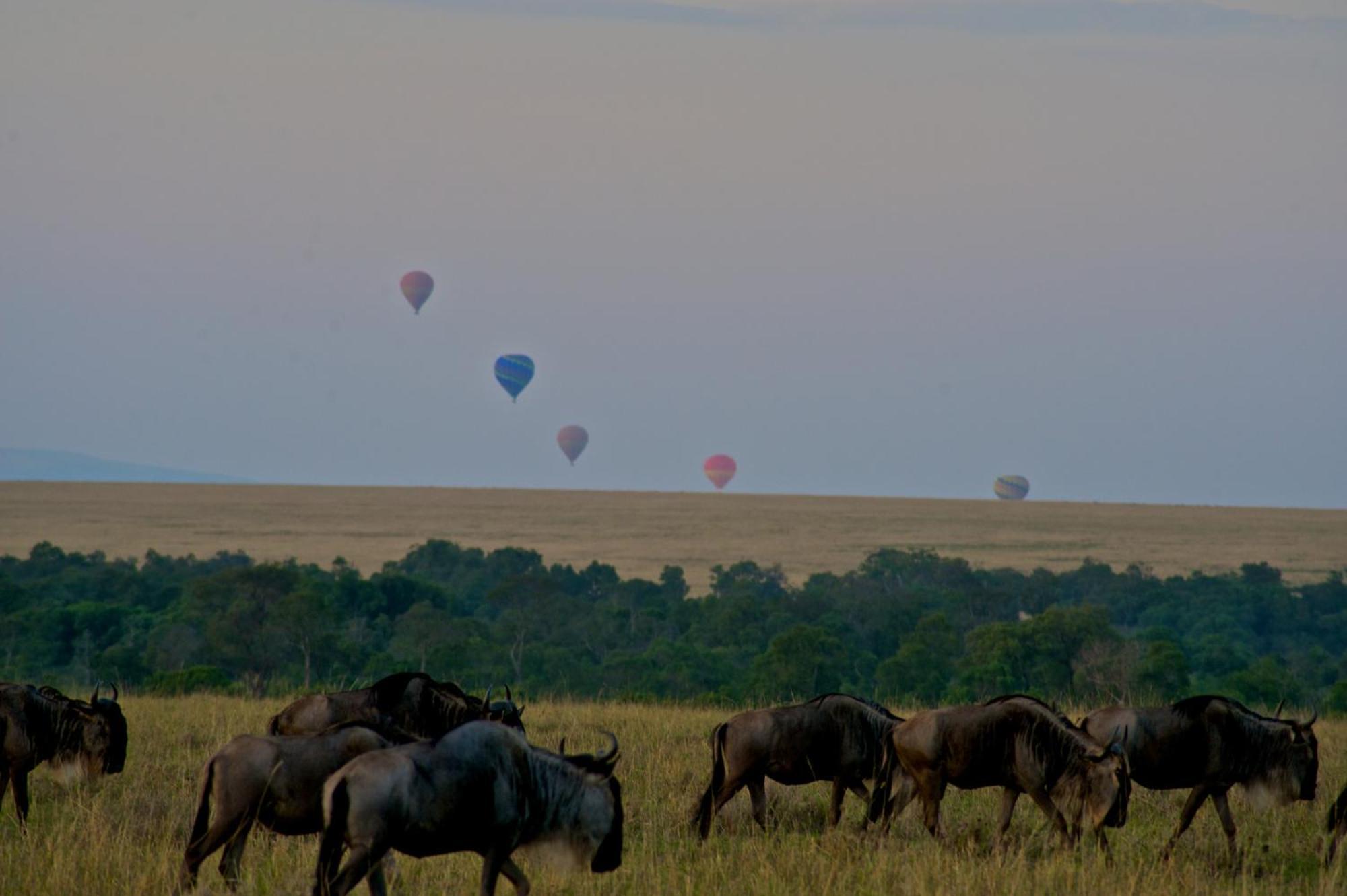 Mara Elatia Camp Villa Maasai Mara Dış mekan fotoğraf